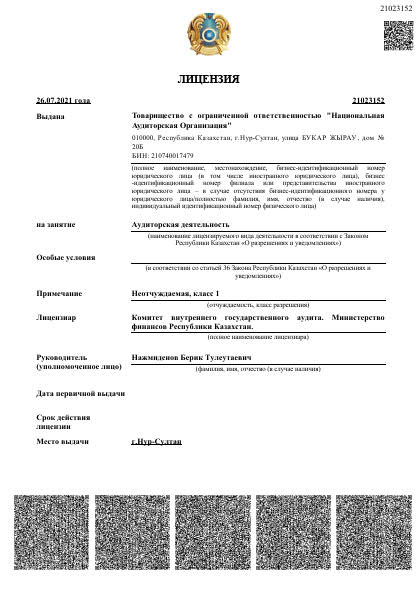 Лицензия Национальной аудиторской организации